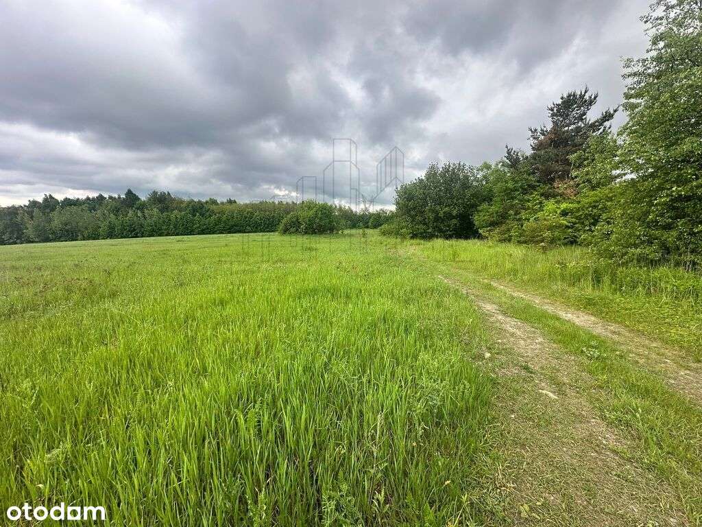 Podzamcze-działki w sąsiedztwie Zamku Ogrodzieniec-7