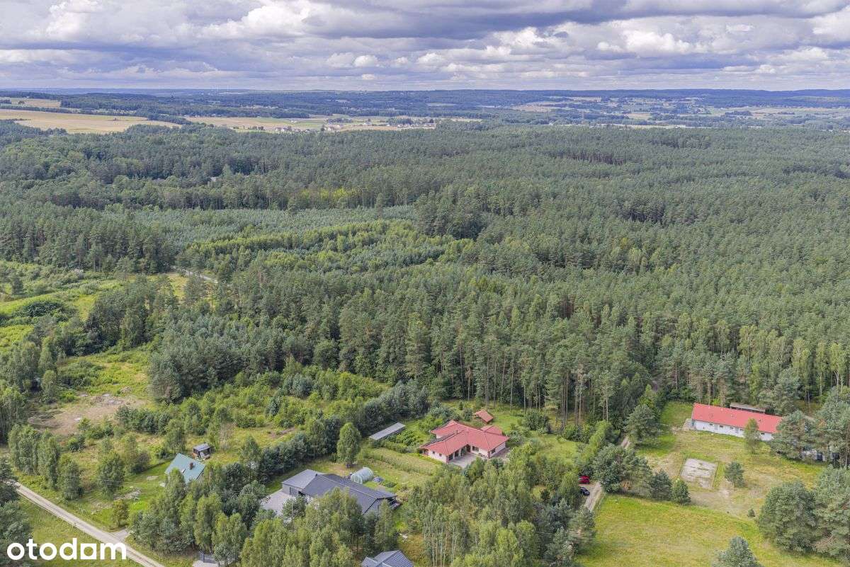 Posiadłość, 7500m2! w Dąbrówce k. Wejherowa-4