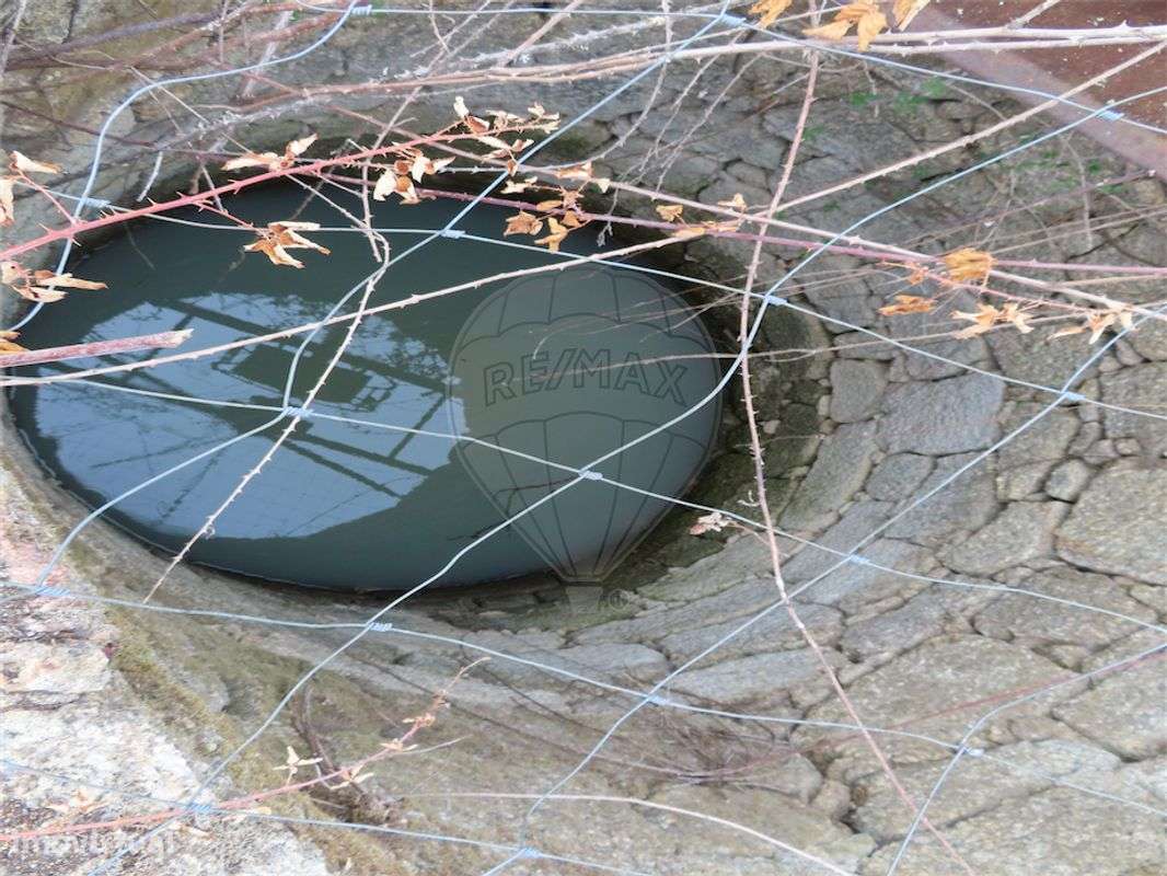 Quinta  para venda - Grande imagem: 4/18