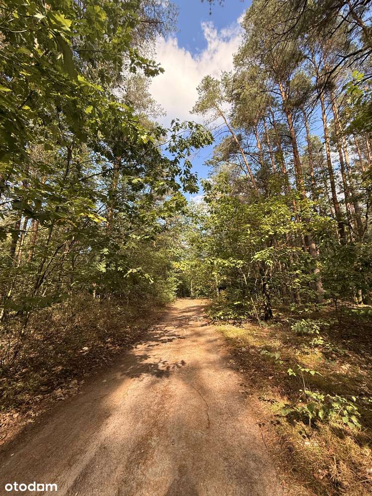 urokliwa działka na sprzedaż, Zawodne gmina Prażmów-2