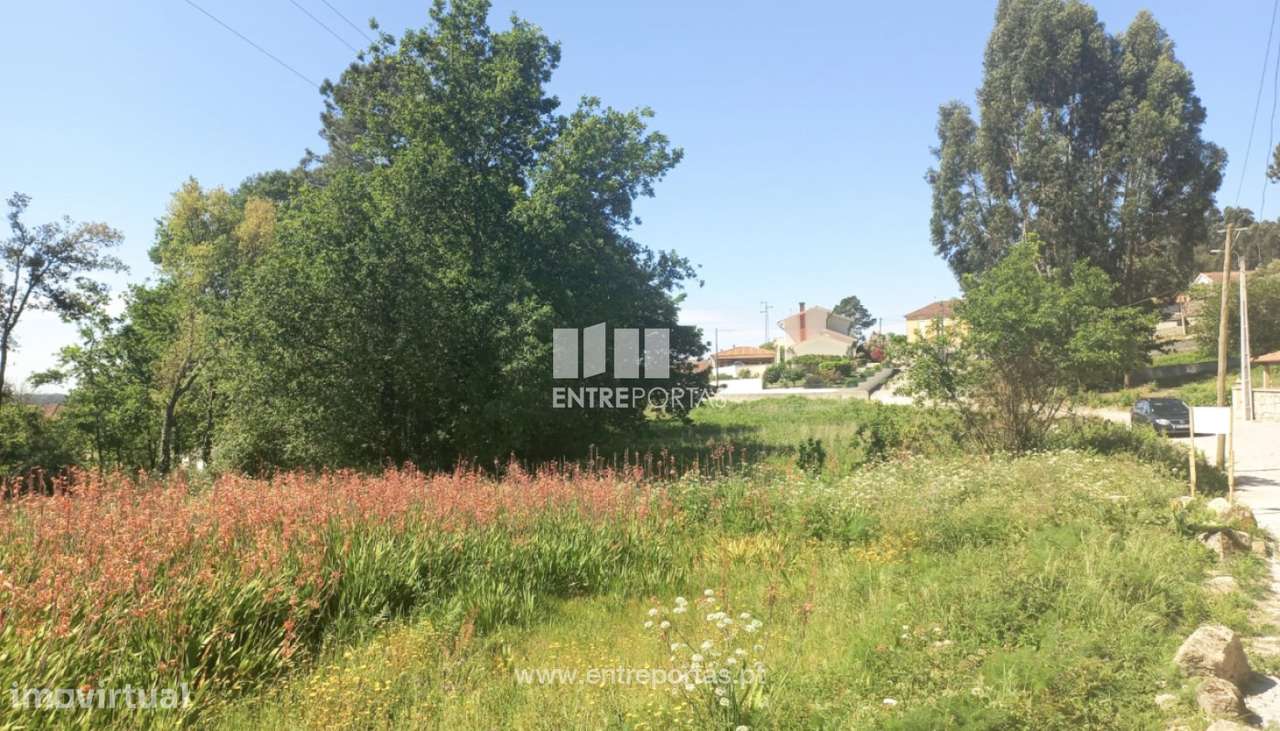 Venda de Terreno, Cardielos, Viana do Castelo - Grande imagem: 5/24