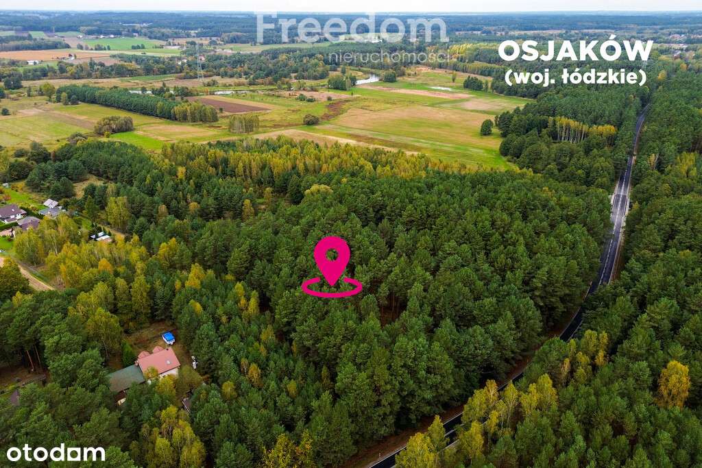 Działka budowlana w lesie 3300 m² - Pełny obrazek: 5/18