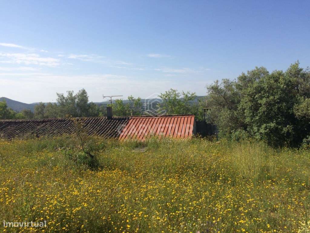 Moradia em ruina para recuperar, Querença, Algarve - Grande imagem: 3/12