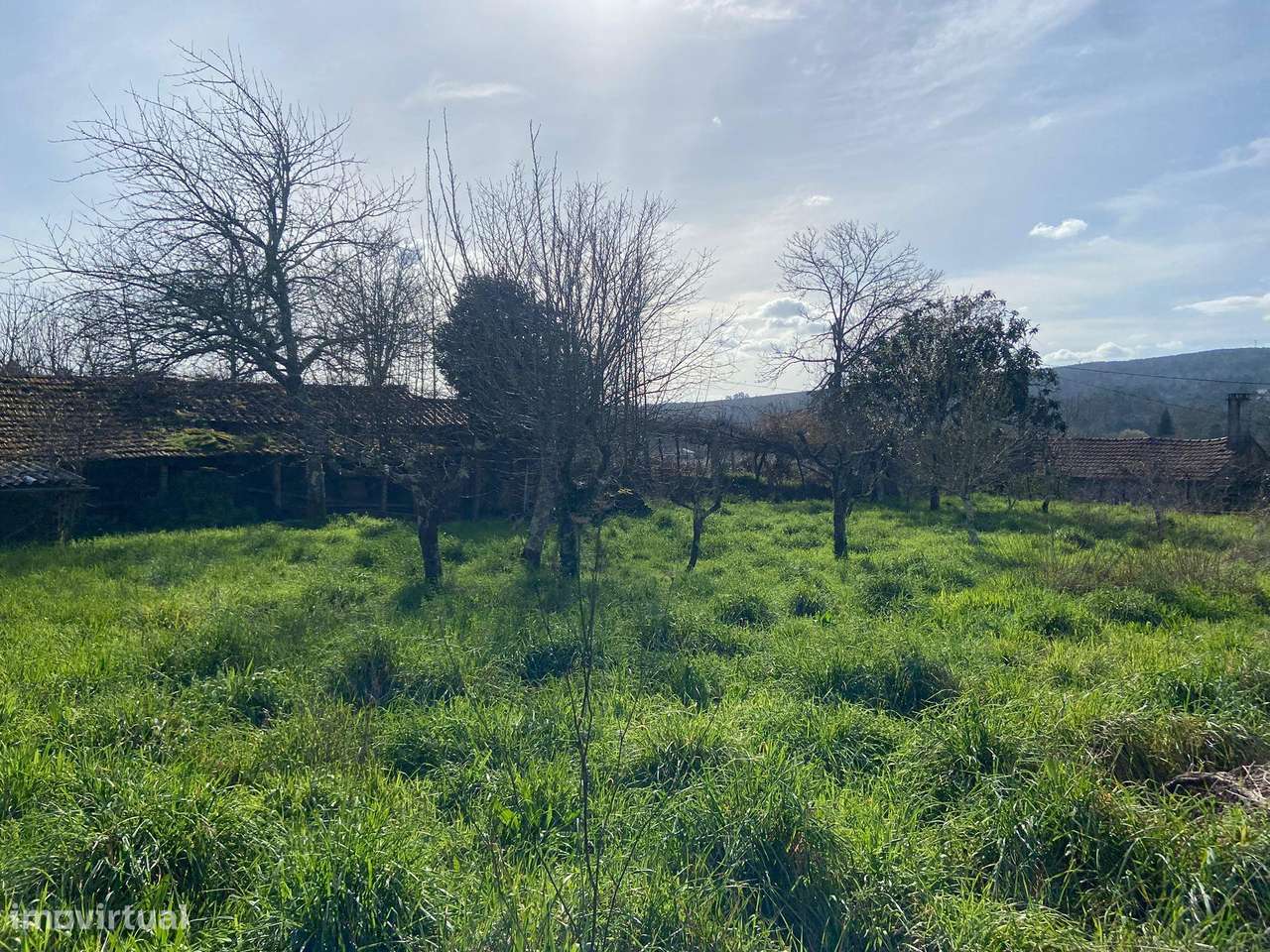 Quintinha com moradia em pedra para restauro com 2.000m2 de terreno.-12