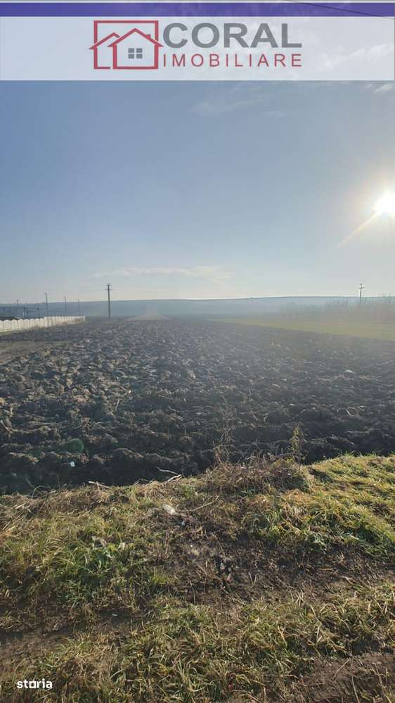 De vanzare teren intravilan, Santandrei-2