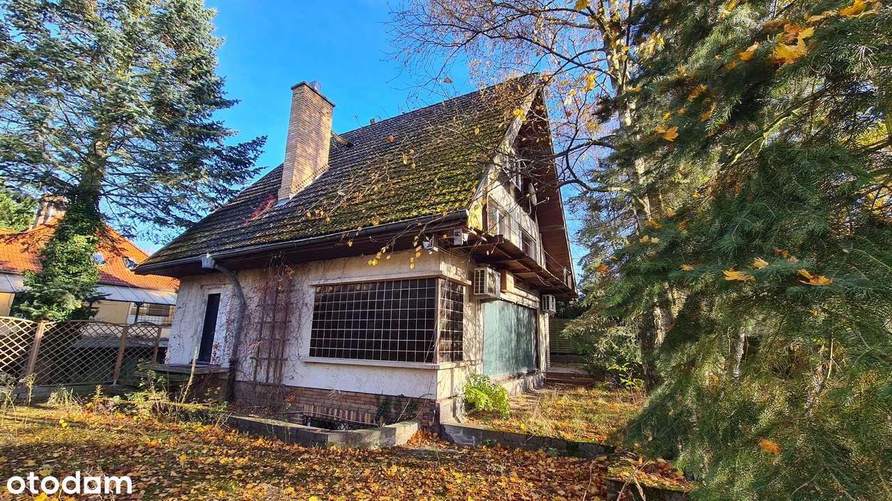 Dom, Pogodno, Michałowskiego, Topowa lokalizacja - Pełny obrazek: 4/11