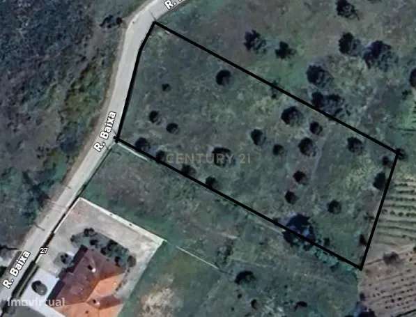 Terreno de 2910 m2 frente a estrada - Grande imagem: 3/10