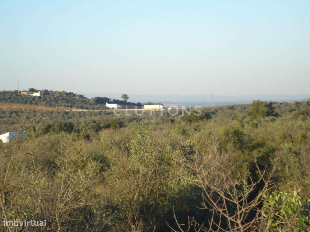 Terreno, 5.4 hectares, PIP aprovado, com possibilidade construção d...-6