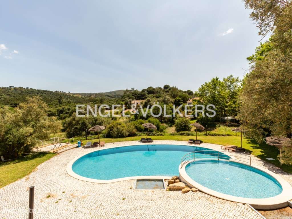 Quinta inserida no Parque da Serra da Arrábida, Habitação e Oportun... - Grande imagem: 5/41