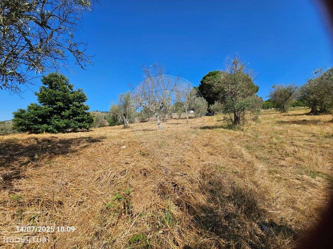 Terreno  para venda - Grande imagem: 5/6