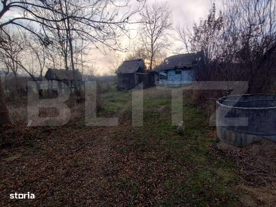 Casa batraneasca,55mp utili, teren aferent 2700mp+1ha teren agricol,zo - Imagine principală: 4/7
