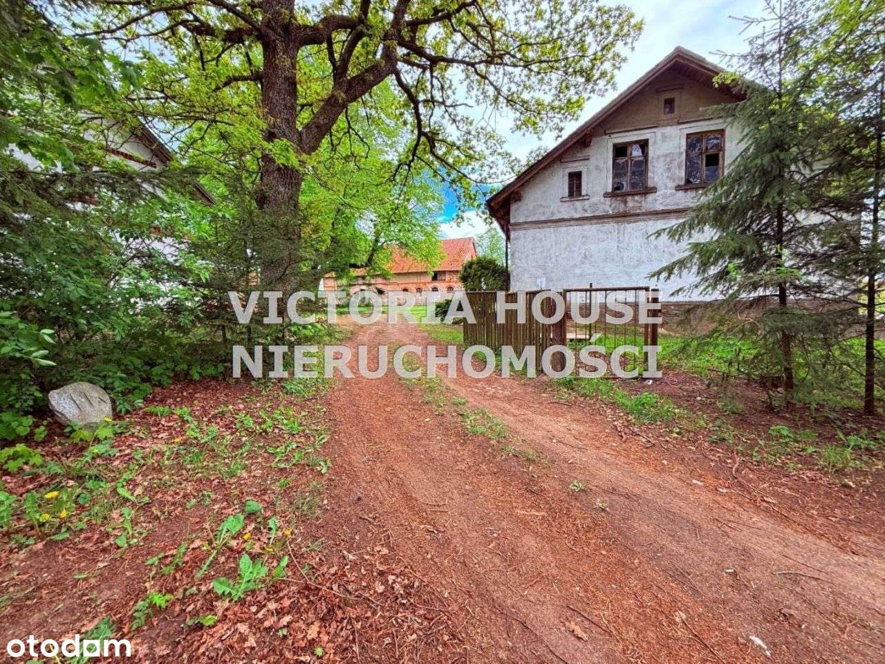 Wyjątkowa Nieruchomość Blisko Jeziora! Okazja! - Pełny obrazek: 4/20