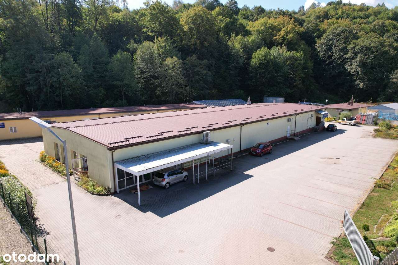 Cały obiekt - 4 budynki magazynowo-usługowe, działka produkcyjna-5