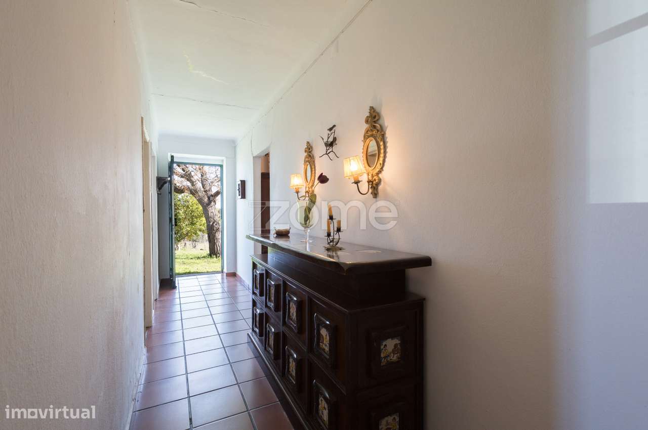 Monte Alentejano em Brinches (Serpa)-4