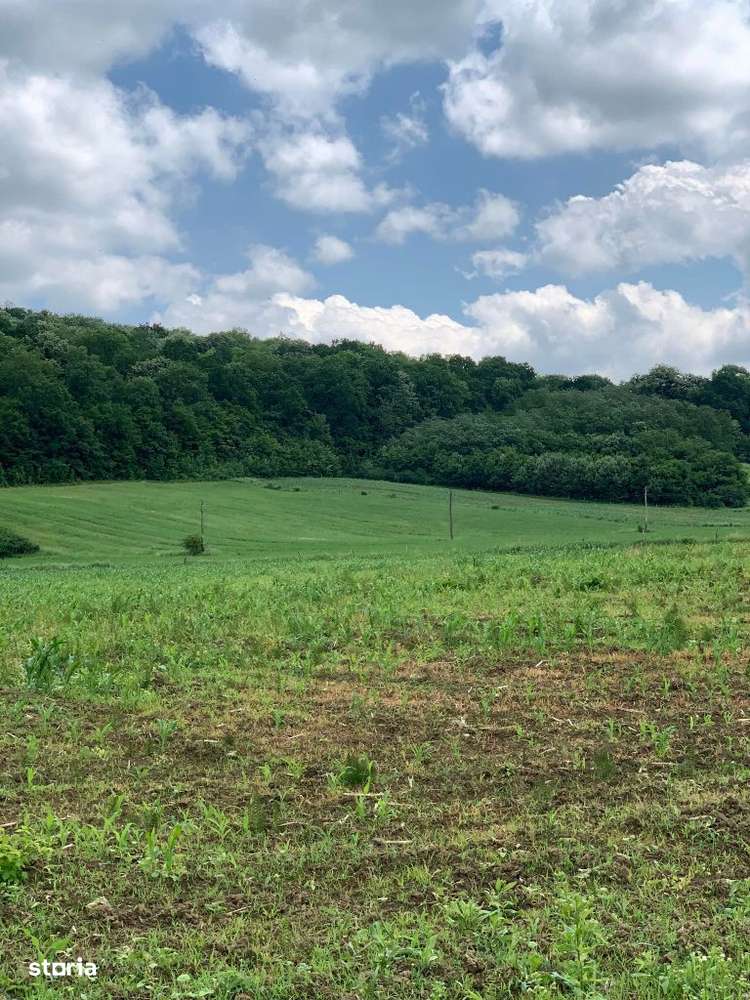 Teren de Vanzare - Imagine principală: 3/3