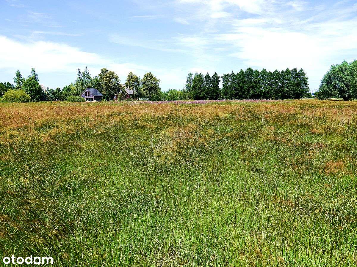 Żuławy Wiślane, wieś Bronowo, zostały 2 działki - Pełny obrazek: 4/6