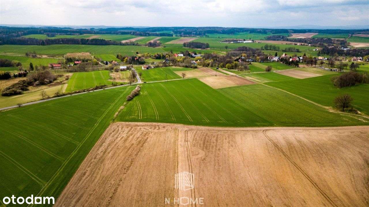 3 Ha zabudowa mieszkaniowa | Jaszów | Nowa Cena - Pełny obrazek: 4/10