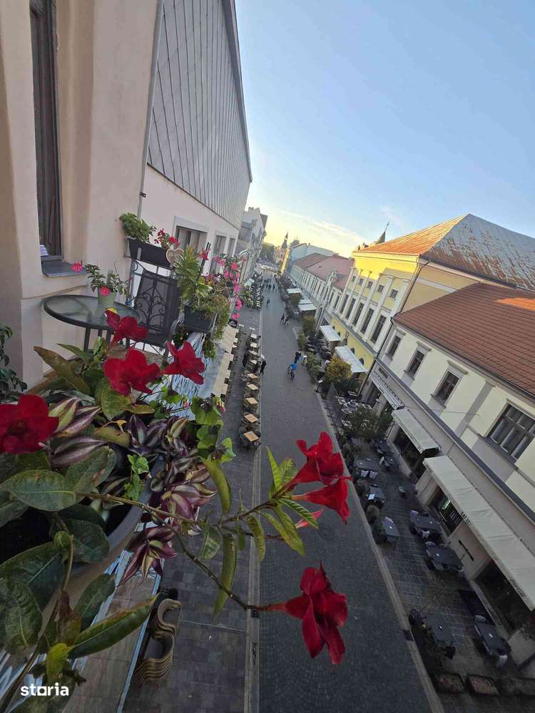 Apartament Ultracentral Vasile Alecsandrii  Oradea-16