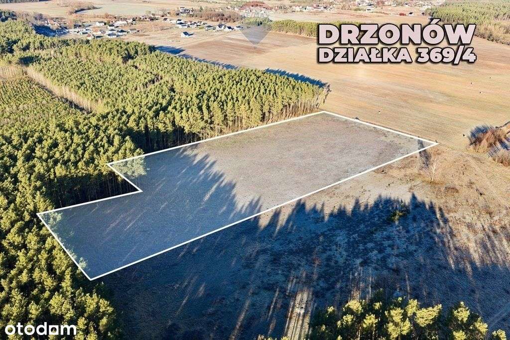 Na sprzedaż działka inwestycyjna 30 zł/ m² - Pełny obrazek: 5/17