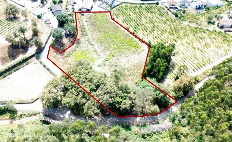 Terreno e Monte Guimarães - Grande imagem: 4/7