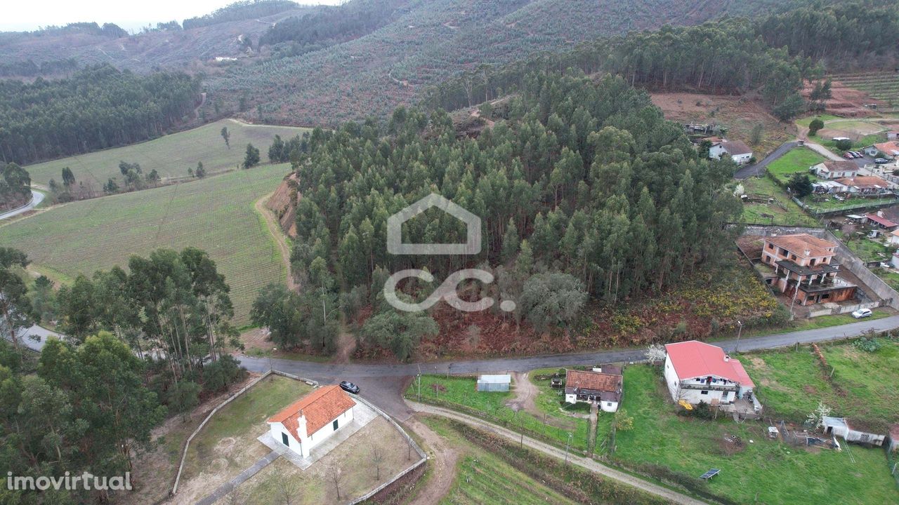 Terreno, Cernadelo e Lousada (São Miguel e Santa Margarida), Lousada