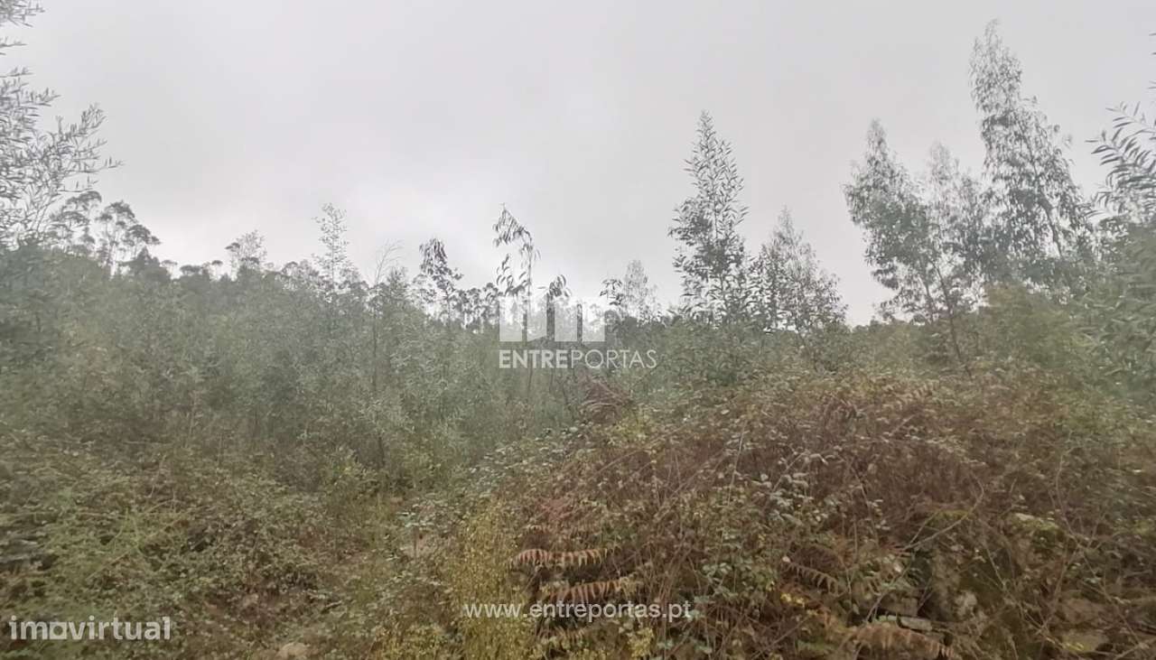 Venda de Terreno florestal com 20 668 m2, Vairão, Vila do Conde - Grande imagem: 5/8