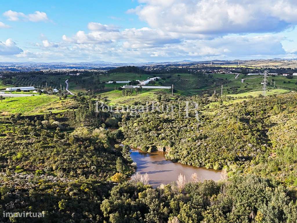 Herdade com 227 ha junto à Albufeira de Castelo de Bode - Grande imagem: 5/47