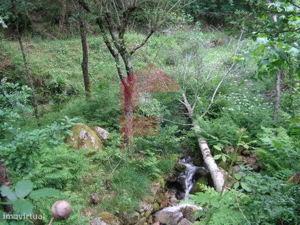 Terreno, Valdreu - Grande imagem: 4/14