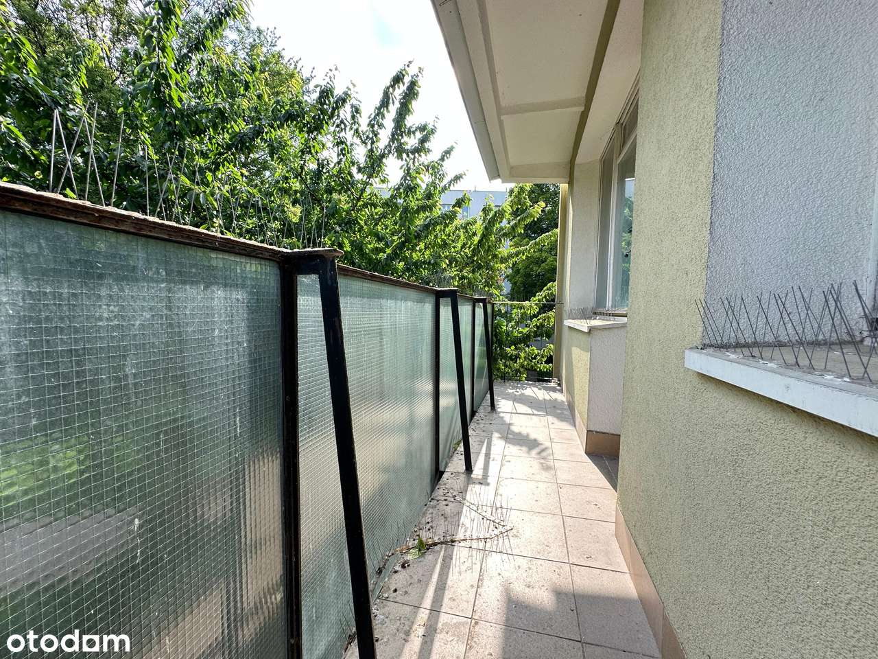 3-pokojowe z oddzielną kuchnią Saska Kępa, ul. Afrykańska - Pełny obrazek: 4/12