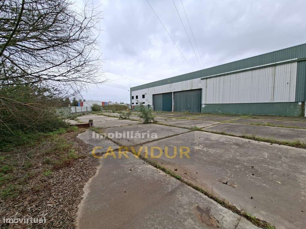 Armazém Industrial de Grande Dimensão - Parque Industrial da Mitren...-13
