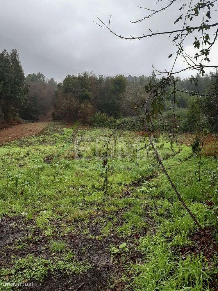 Terreno - Grande imagem: 5/8