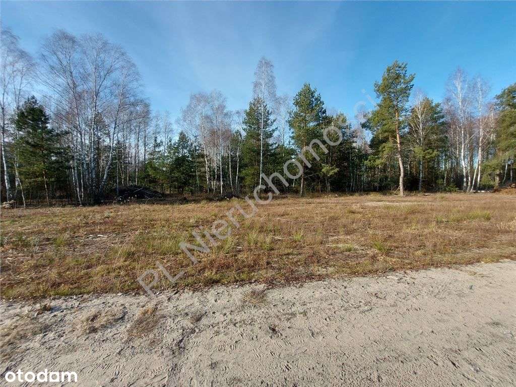 Ostatnia - Piękna Działka W Dobrej Cenie-8