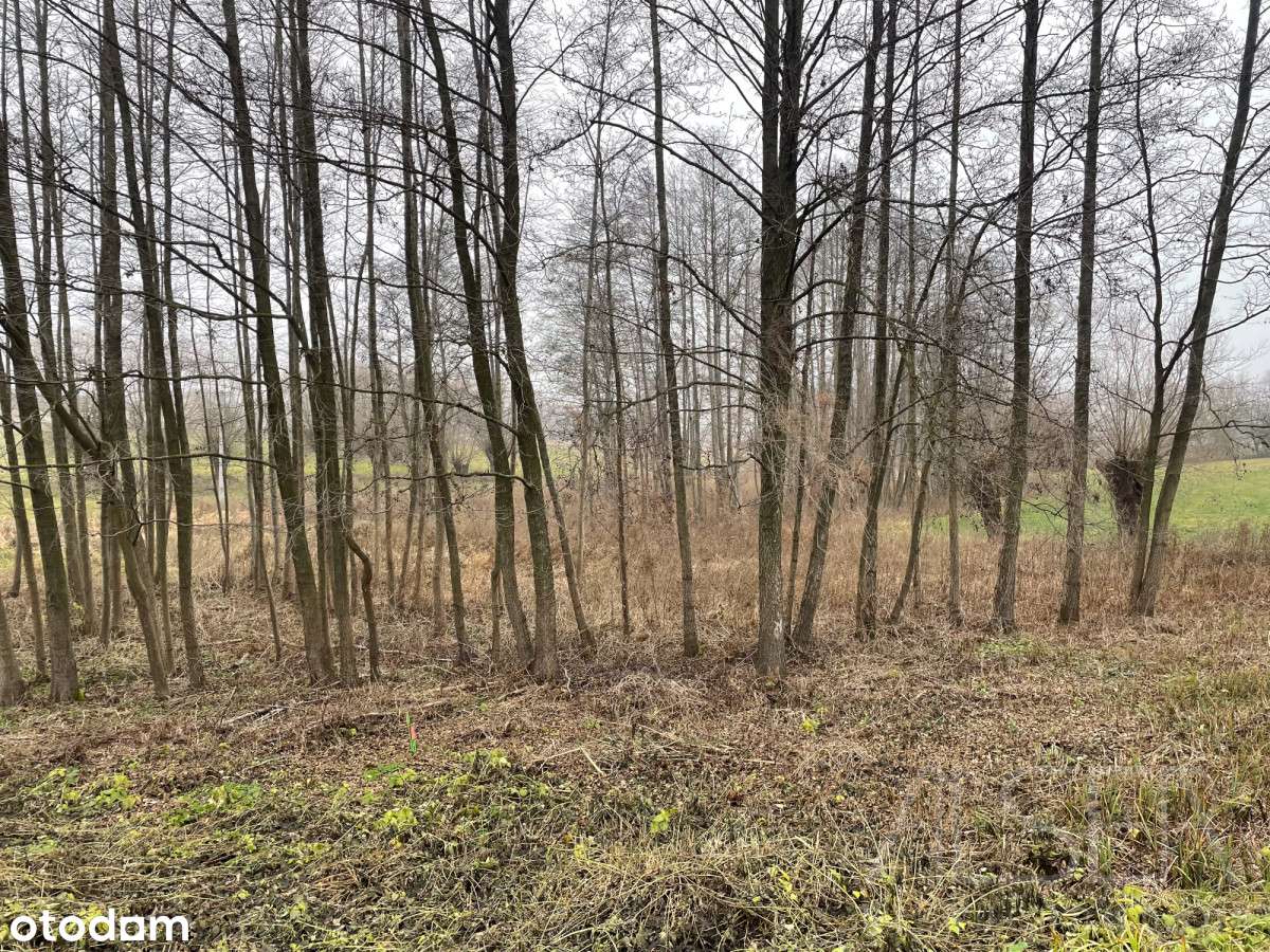 6 Działek budowlanych od 1356 m2 do 2143 m2 | WZ-9