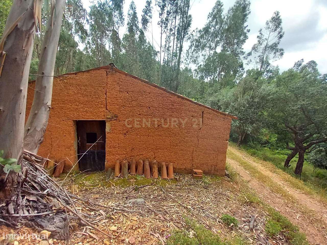 Terreno com cursos de água para venda na Serra de Monchique; Natureza, - Grande imagem: 5/20