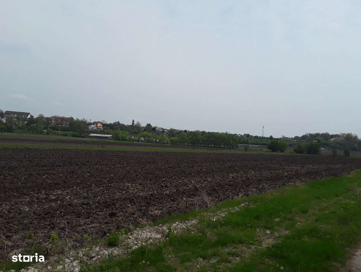 Teren extravilan, Cotofenii din Fata, jud Dolj -id 6954-04.06 - Imagine principală: 4/8