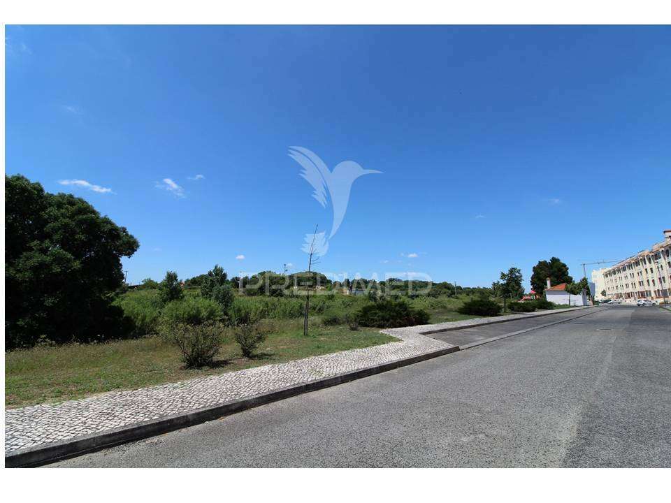 Lote Prédio em Santarém em urbanização de referência - Grande imagem: 3/25