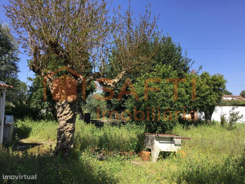 MORADIA T3 ISOLADA COM TERRENO-15