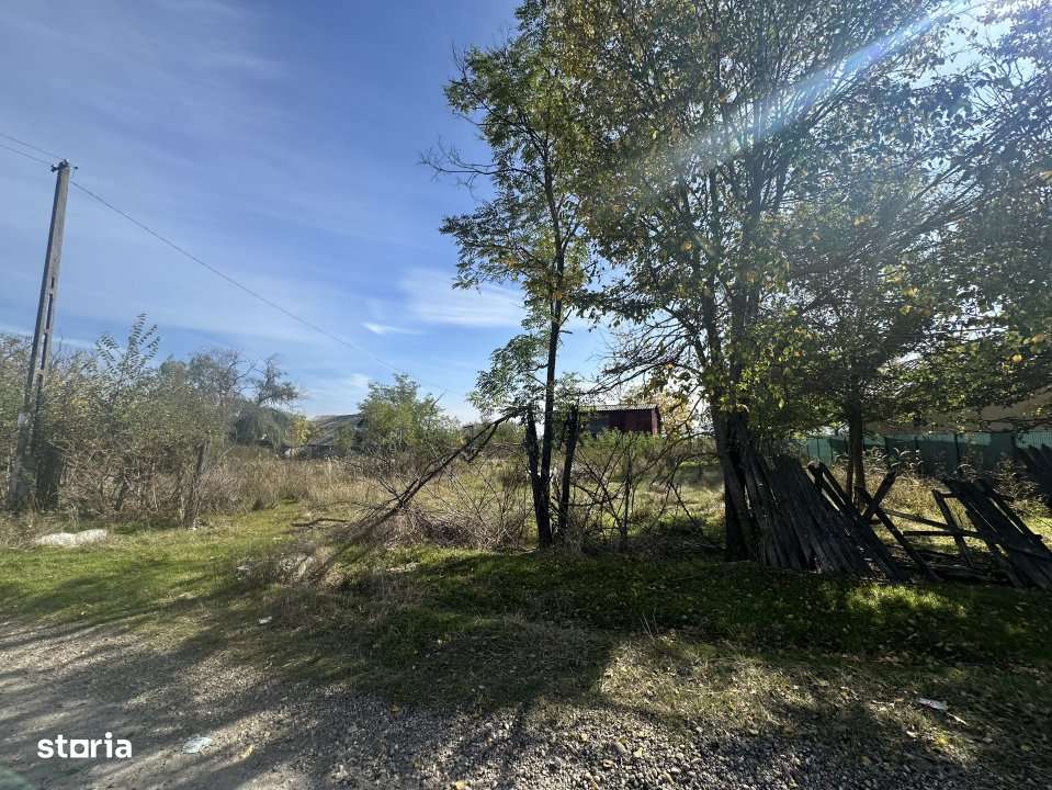 Teren 5216 mp la 2 pasi de autostrada A1 - com. Ratesti - Imagine principală: 3/10