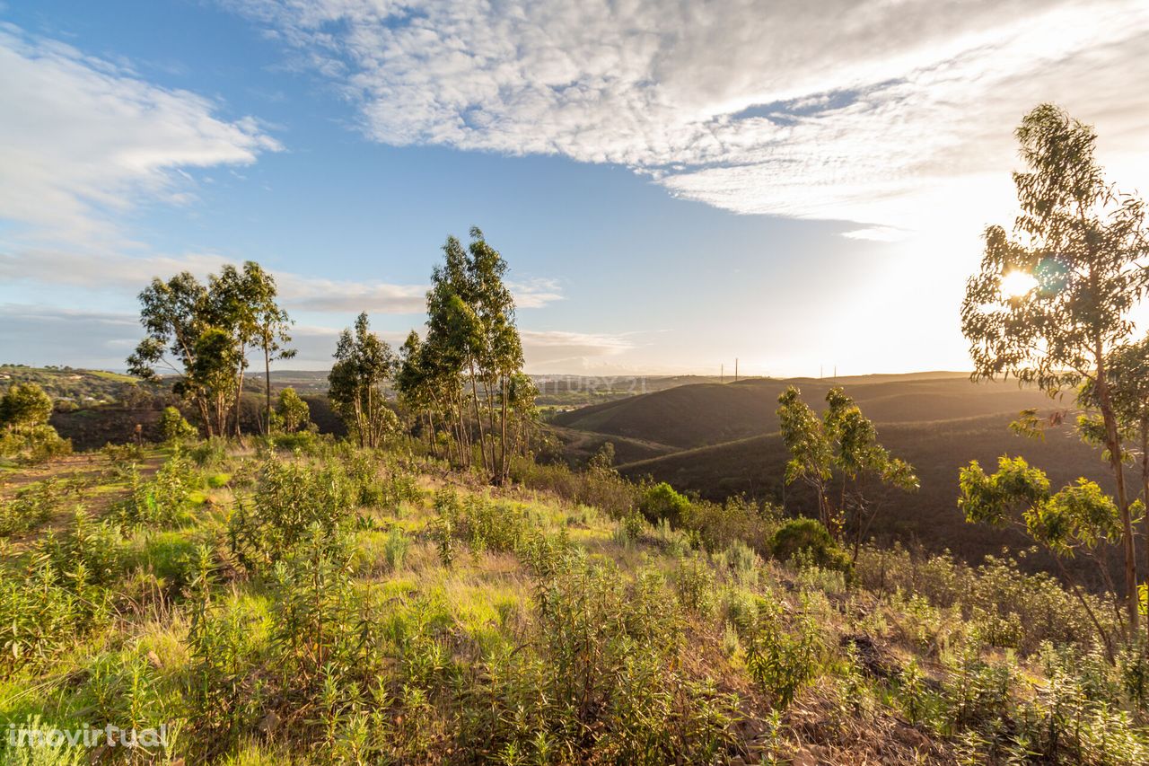 Terreno com 23 hectares em Arão