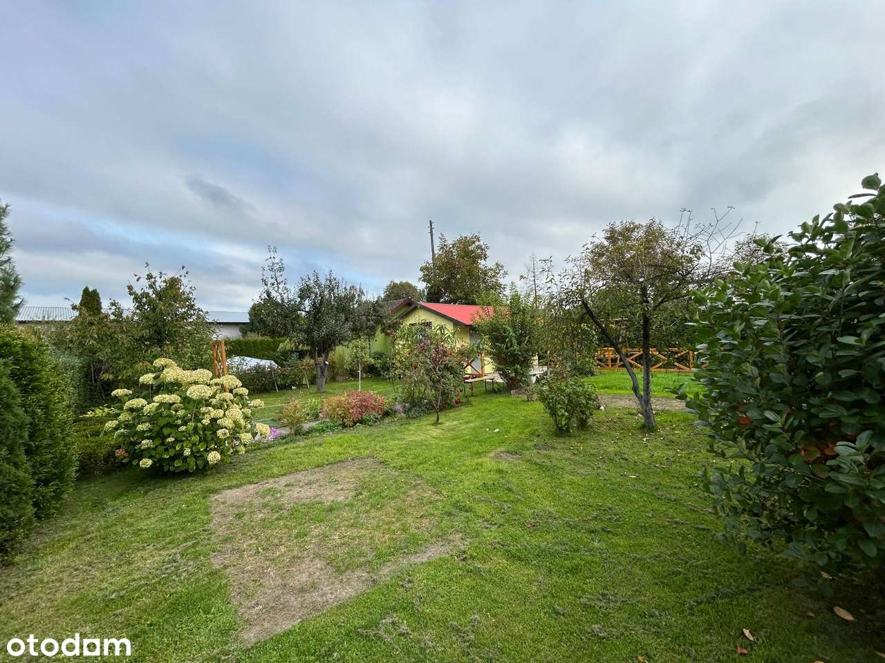 Urocza działka ROD z drewnianym domkiem - Pełny obrazek: 4/9