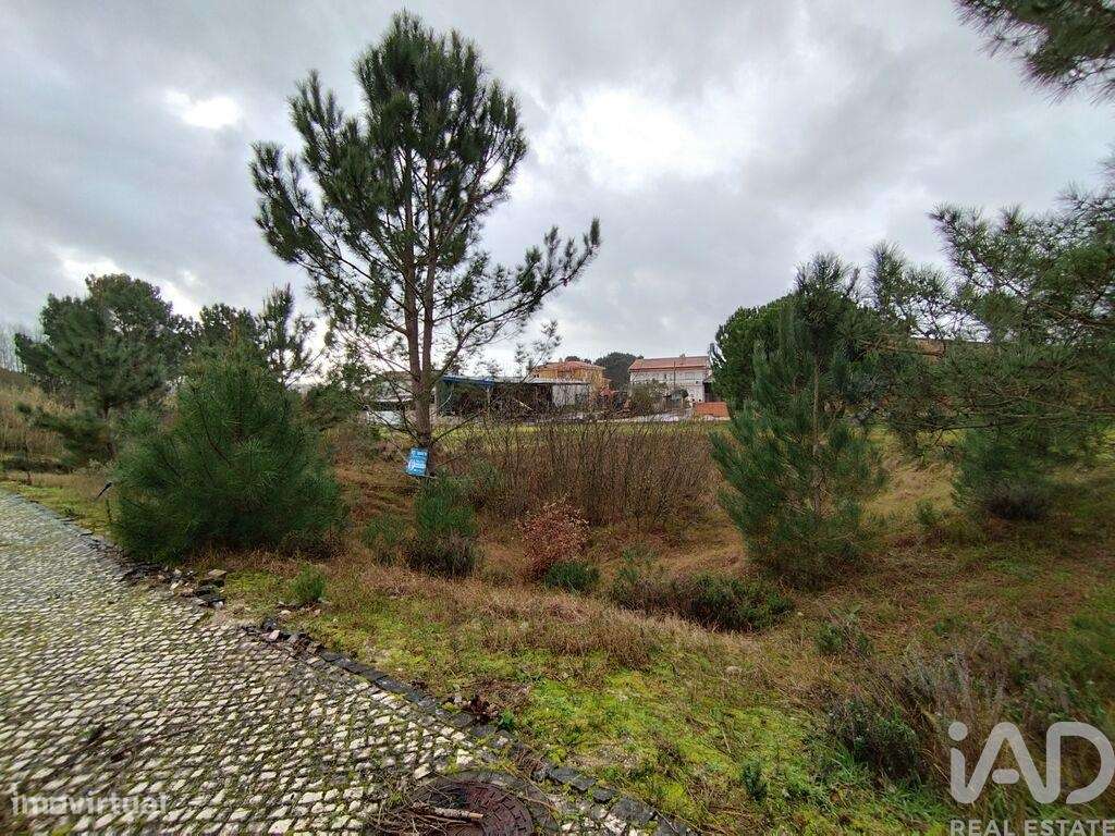 Terreno em Coz, Alpedriz e Montes de 560,00 m2 - Grande imagem: 2/14