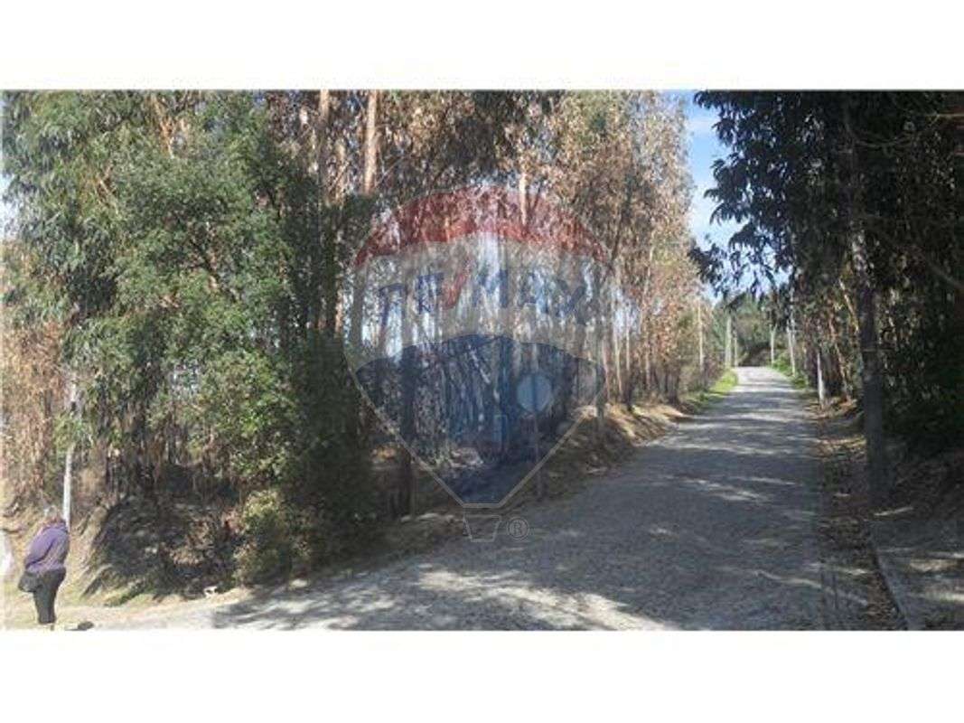 Terreno  para venda - Grande imagem: 4/7