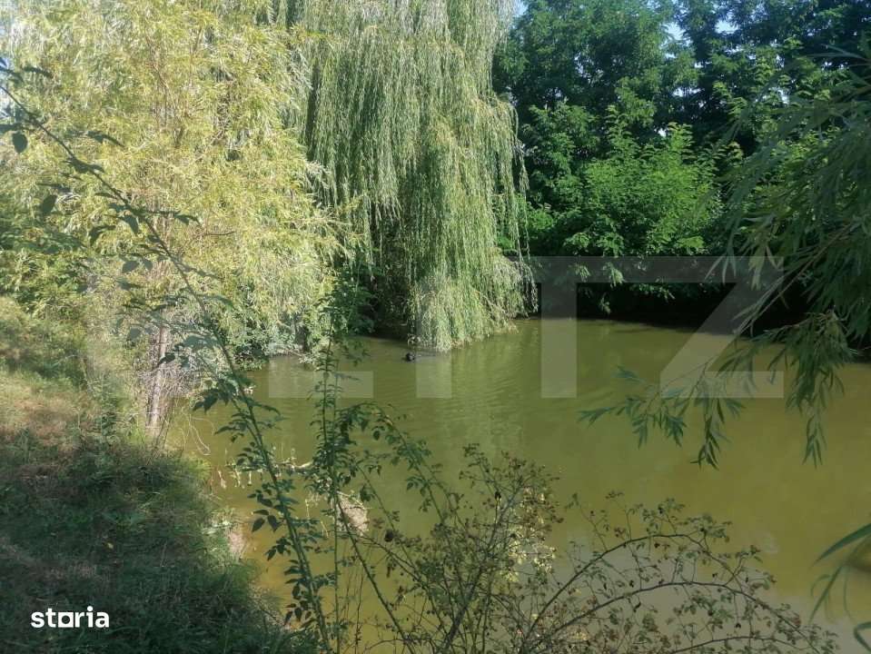 Casa cu arhitectura deosebita, iaz, panouri solare, 370mp, zona Adanca - Imagine principală: 3/8