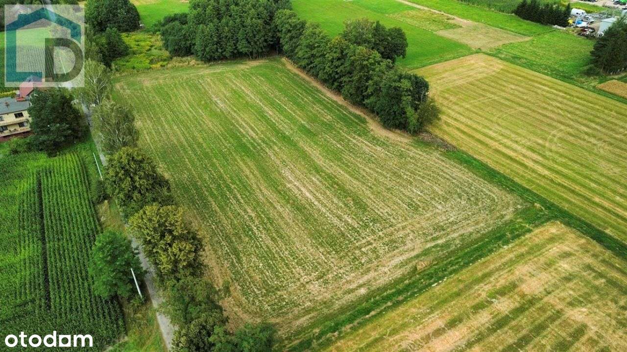 Działka, 1 064 m², Mnich - Pełny obrazek: 5/11