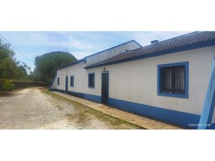 Quinta Agrícola em Alcobaça (DESATIVADA) - potencial p/ novos projetos