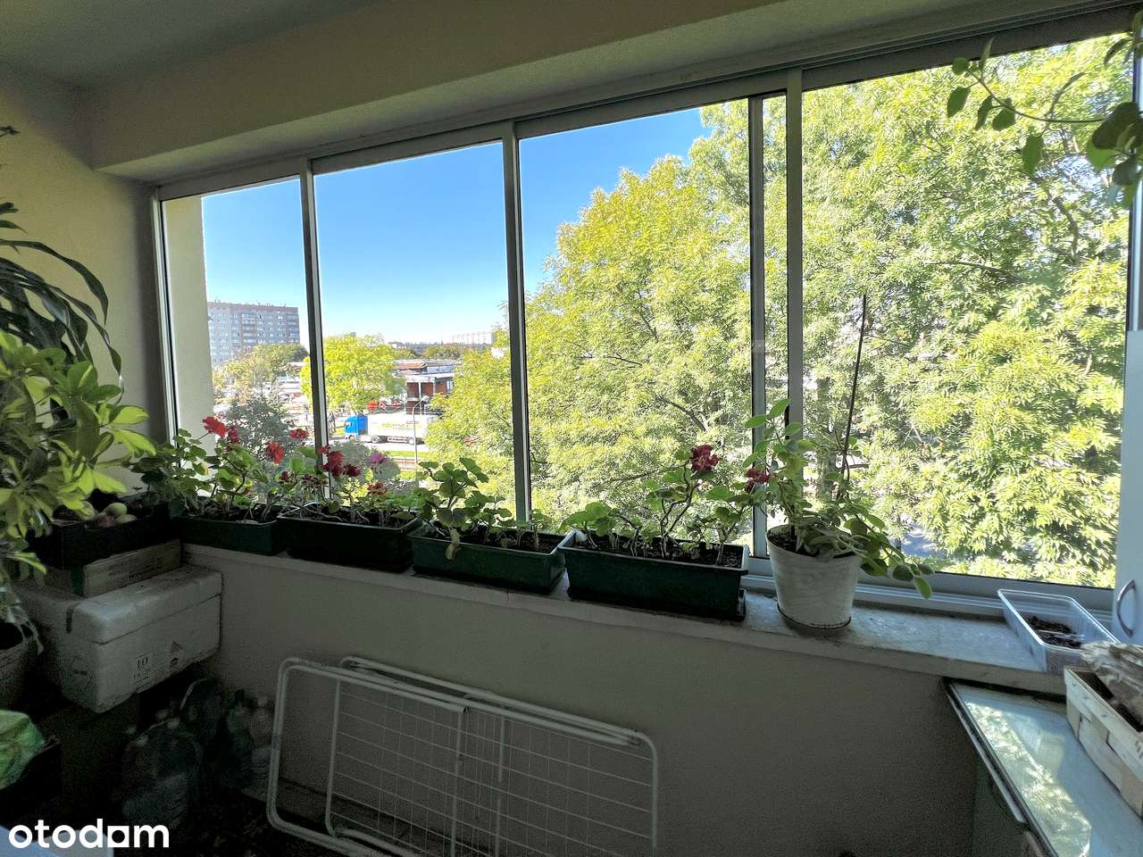 Wyjątkowe 3 pokoje w sercu zielonej okolicy – gotowe do wprowadzenia-12