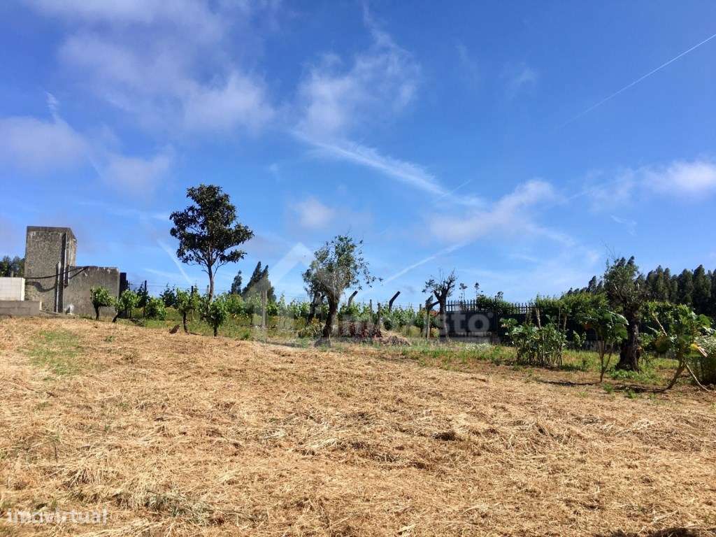 Casa de Campo T3 em Arega, Figueiró dos Vinhos-11