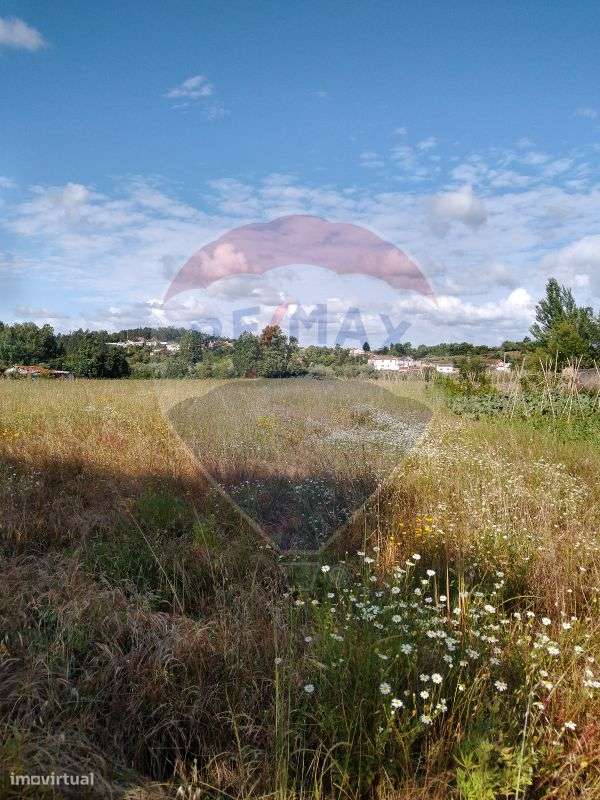 Terreno para Venda - Grande imagem: 2/4