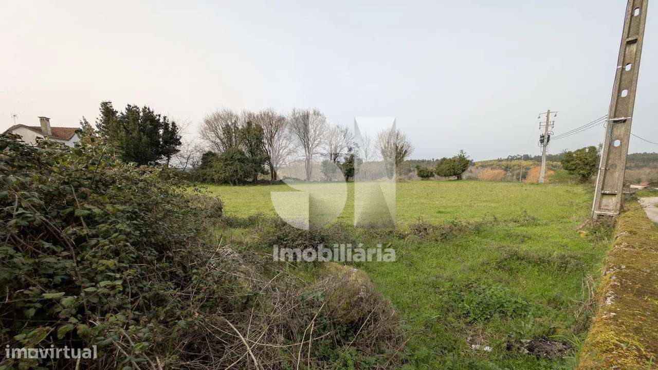 Terreno amplo em Ázere, Tábua - Grande imagem: 4/6
