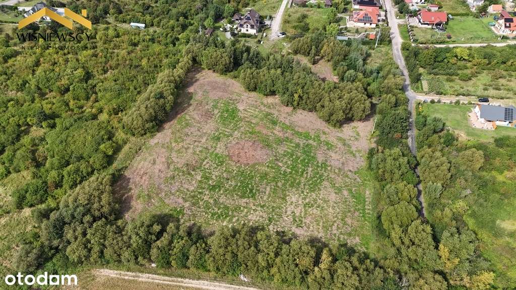 Działki budowlane 1399-2000mkw Tolkmicko Kadyny - Pełny obrazek: 5/8